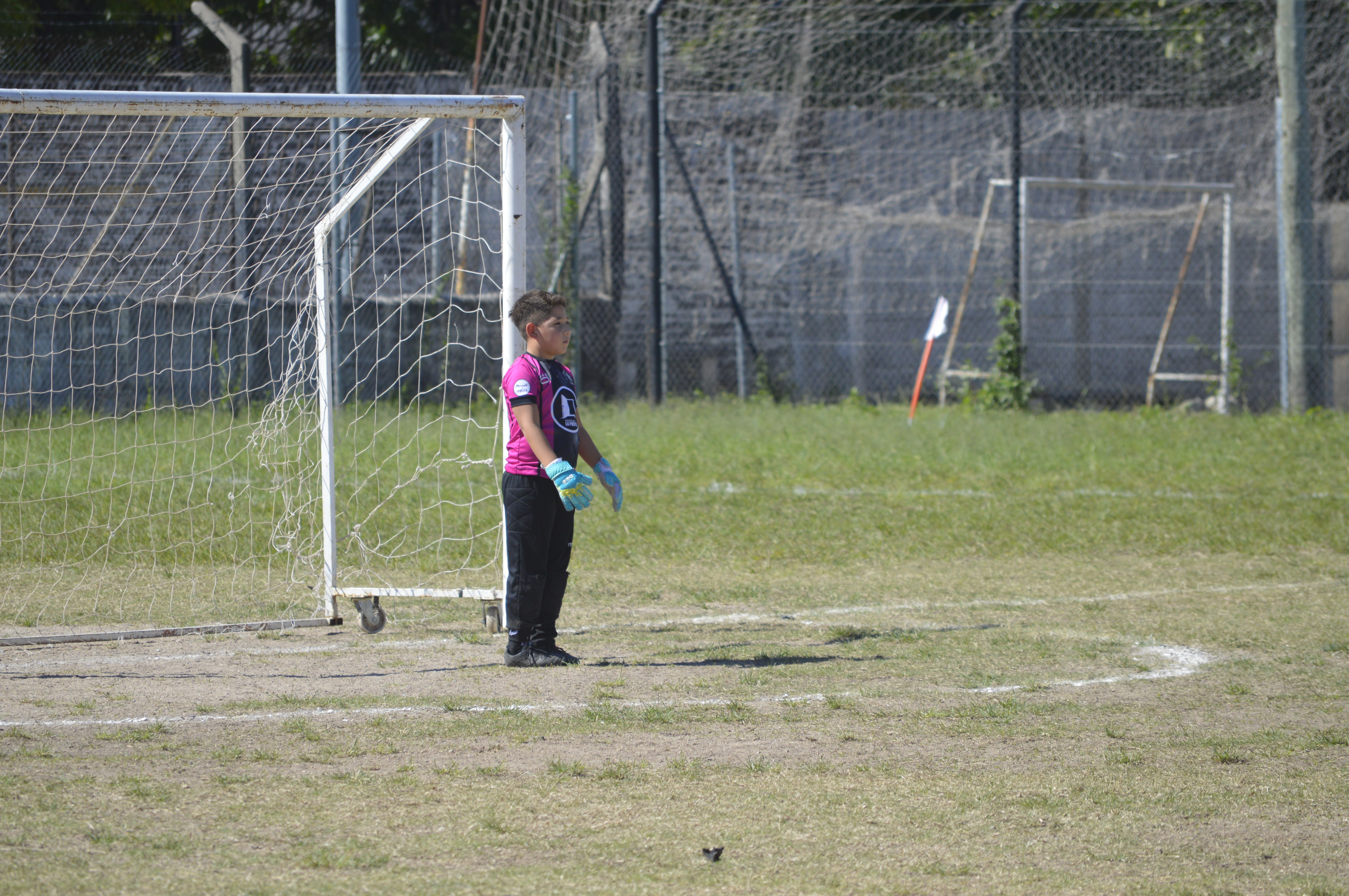 Imagen 2